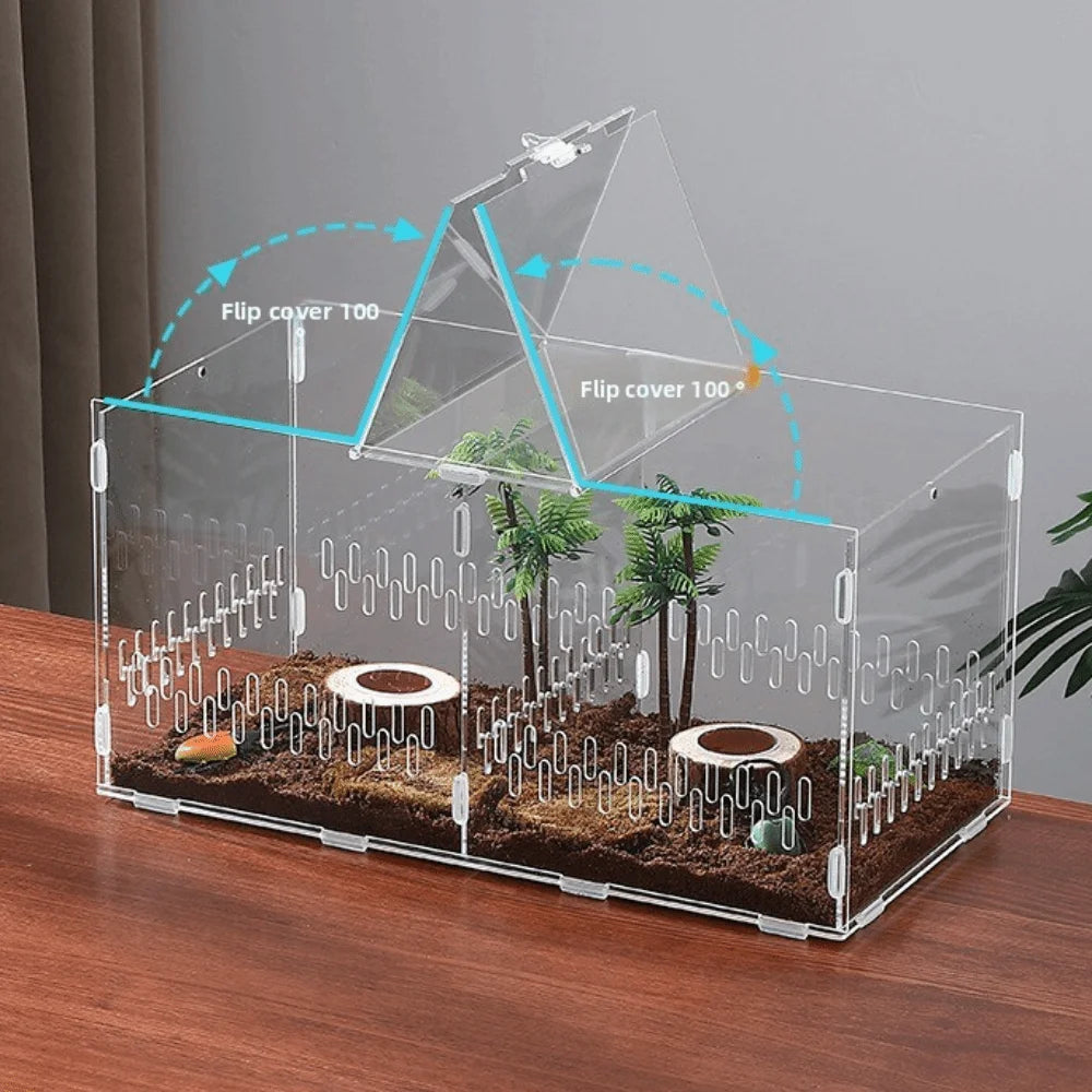 Acrylic Jumping Spider Enclosure – Ventilated Terrarium 3 Sizes Pet Terrarium Enclosure Nixie