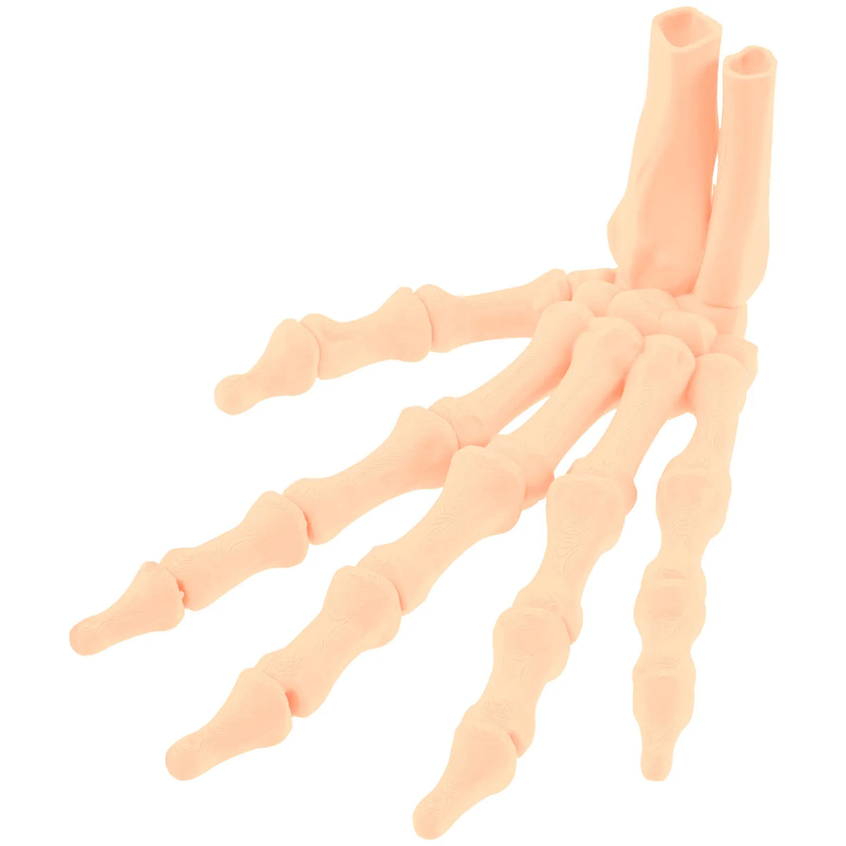 3D Realistic Skeleton Hand Model with Flexible Articulated Joints Halloween Decoration Prop Nixie color