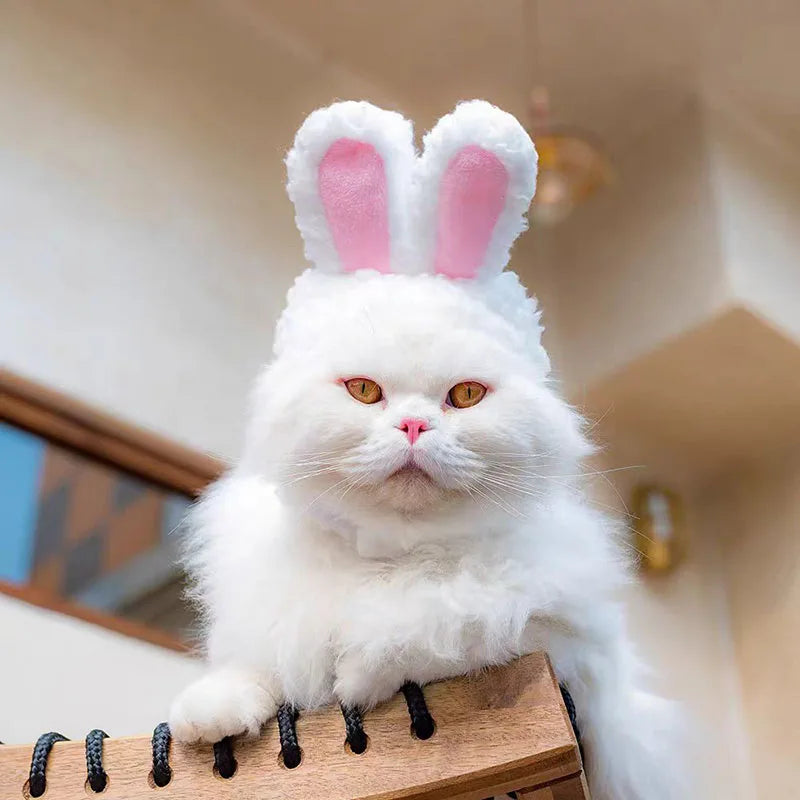 Cute Bear Rabbit Hooded Pet Hat – Soft Fleece Cat & Dog Cosplay Pet Costume Hat Nixie