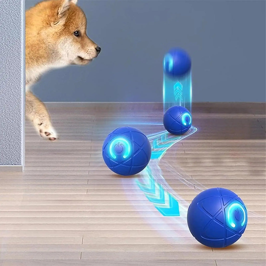 Interactive Auto-Rolling Dog Toy Ball – USB Rechargeable LED Interactive Dog Toy Nixie