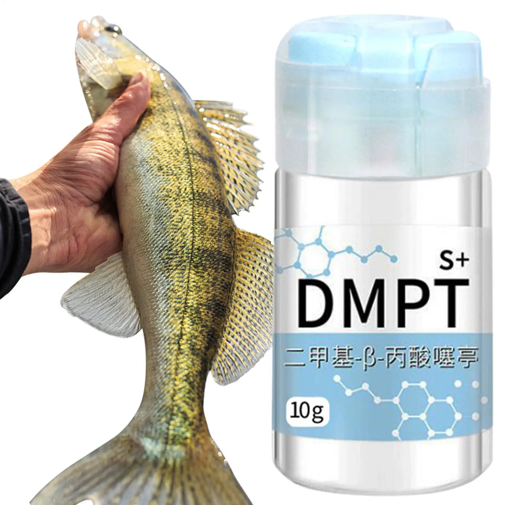 10g Fish Attractant Gel – Natural Bait Scent Enhancer for Carp