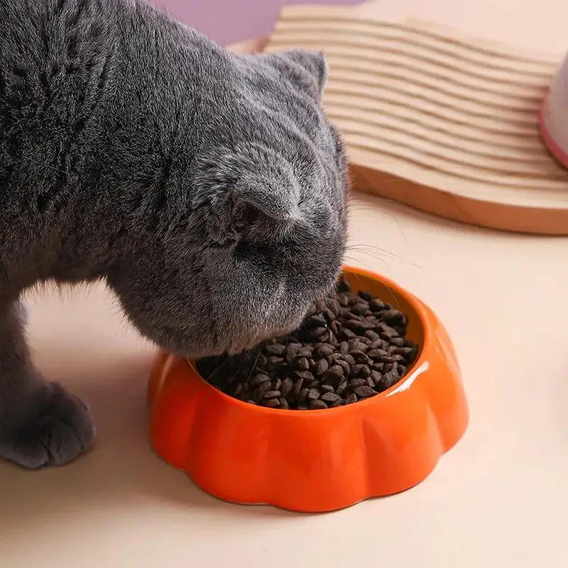 Cute Fruit Shape Ceramic Cat & Small Dog Bowl – 4 Designs Ceramic Pet Bowl Nixie