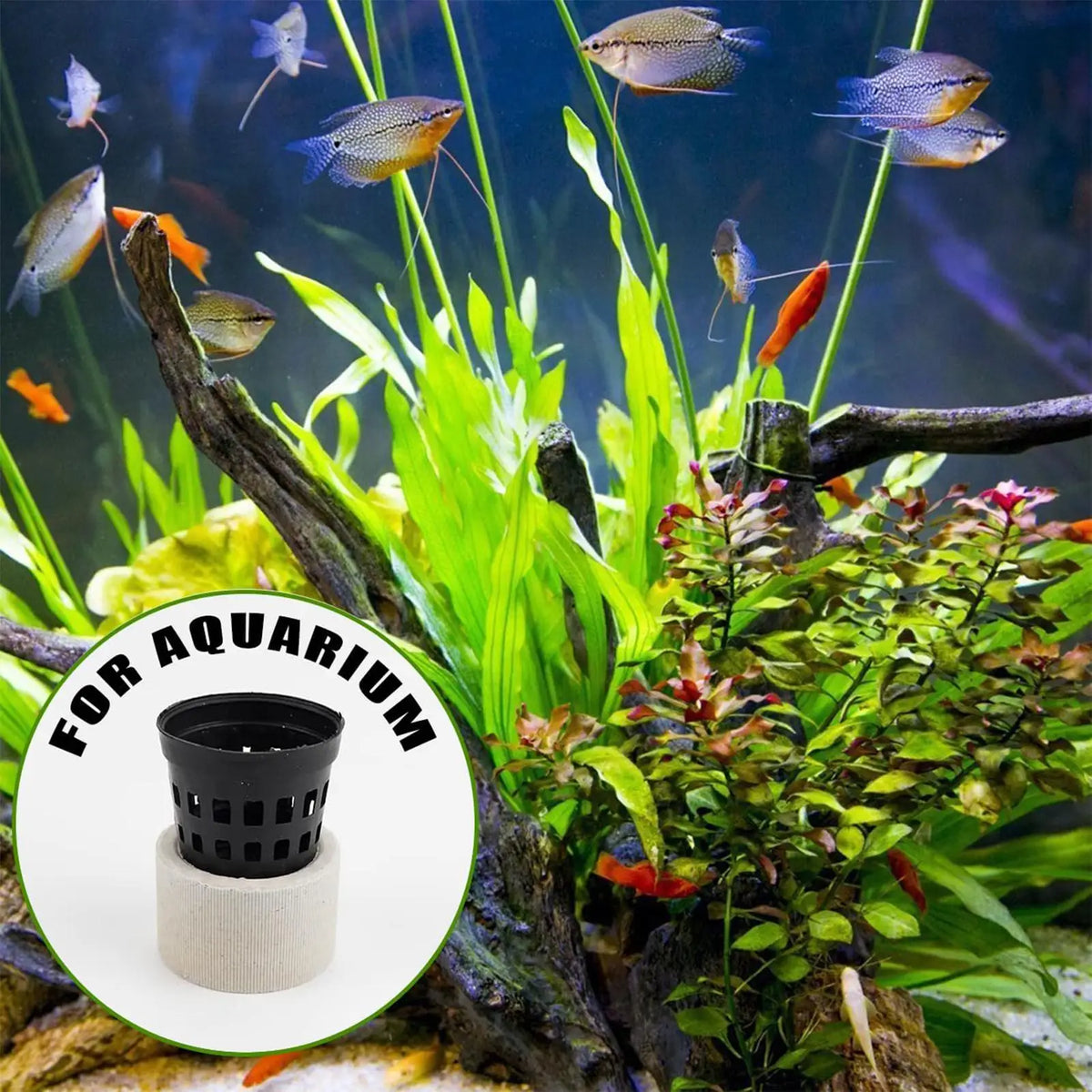 Ceramic Aquarium Plant Weights – 10-Set Fixing Rings & Baskets