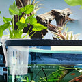 Aquarium Plant Holder – Top-Mount Fish Tank Flowerpot Cup