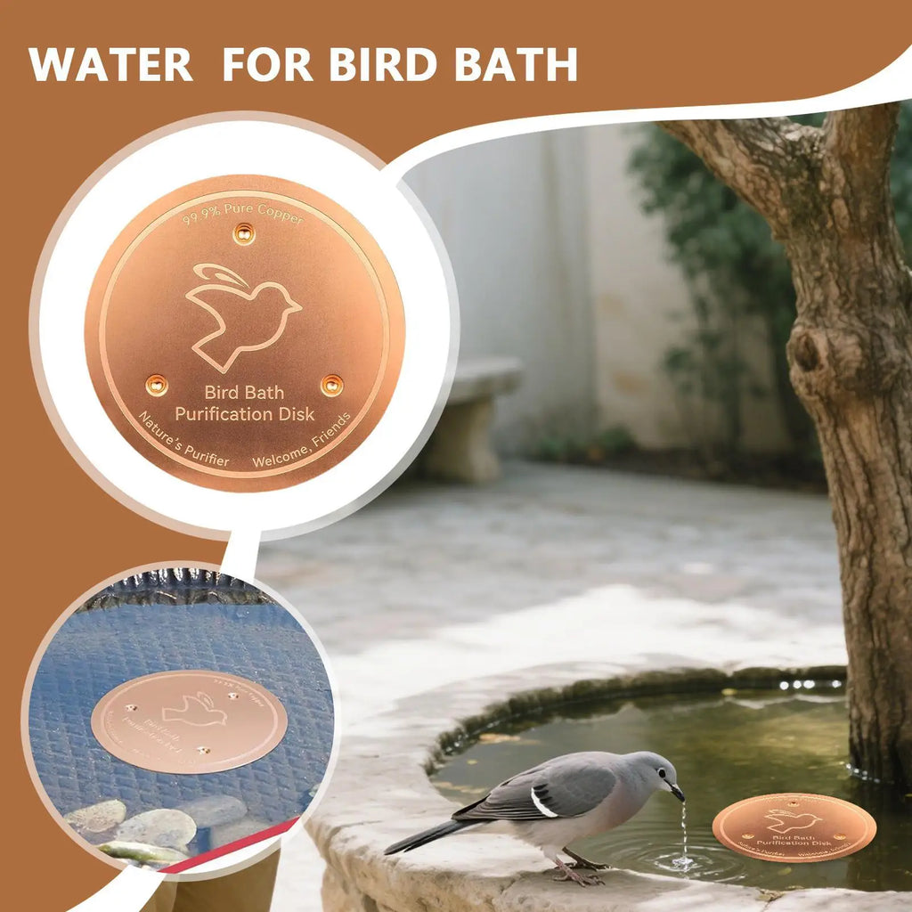Copper Metal Bird Bath Disk | Triple-Point Support Garden Tray