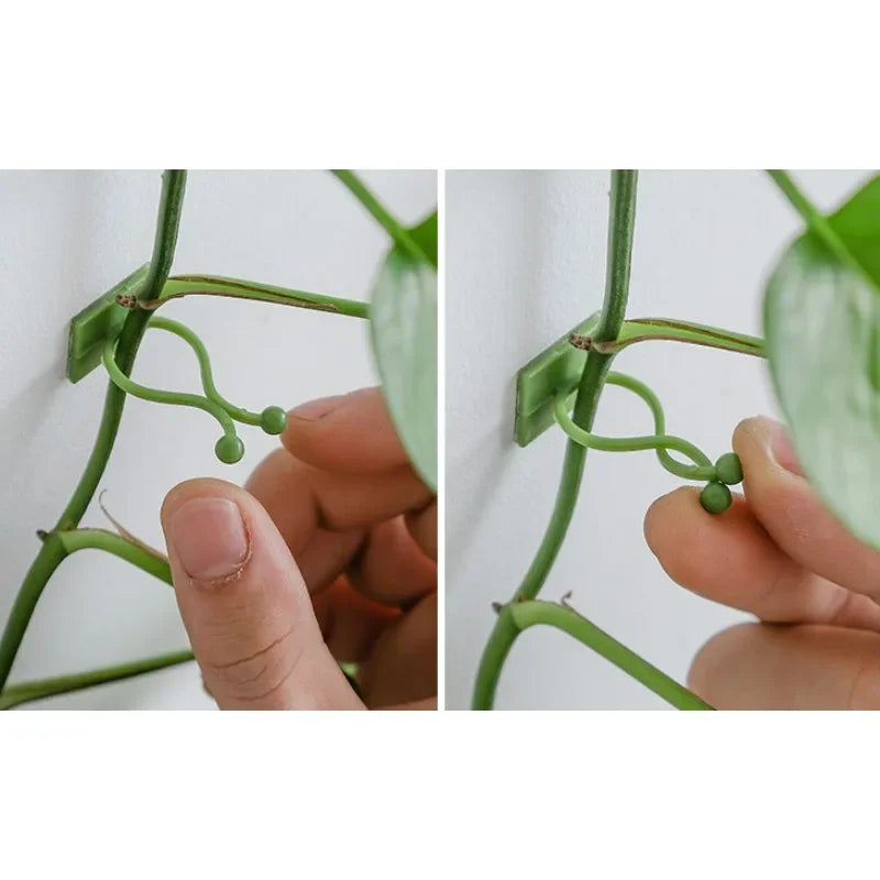 10pcs Plant Vine Climbing Clips – Wall Hook Fixers for Trellis Plant Climbing Clips Nixie