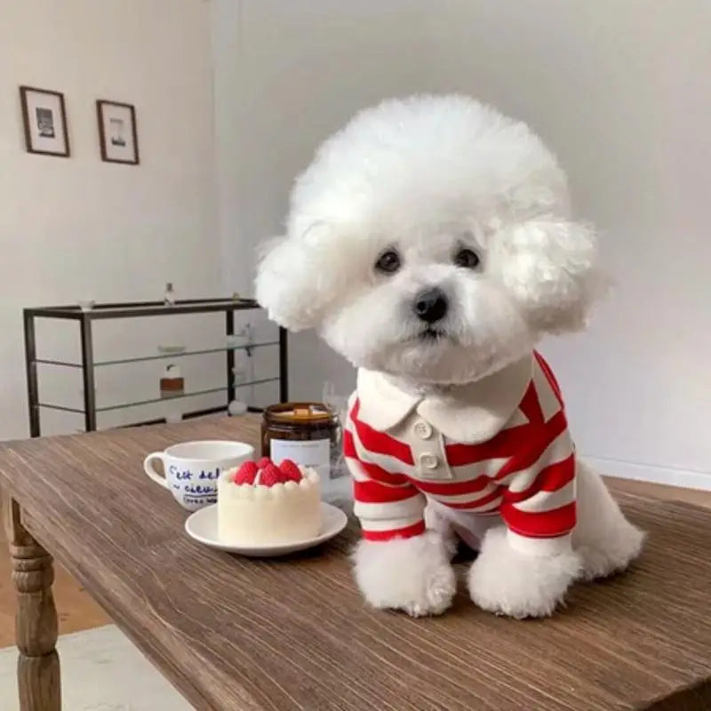 Striped Dog & Cat Shirt – Soft Polyester Pet Pullover S–2XL Pet Shirt Nixie