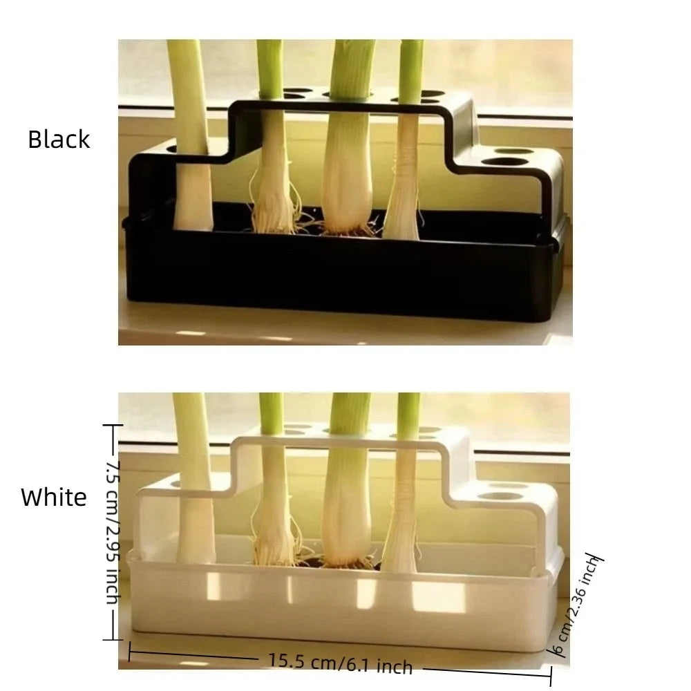 Hydroponic Vegetable Box – Soil-Free Herb Regrowth Planter Hydroponic Herb Planter Nixie
