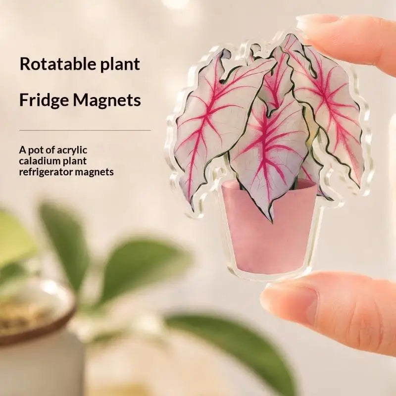 Rotatable Artificial Plant Fridge Magnet | Acrylic Tropical Decor Decorative Fridge Magnet Nixie