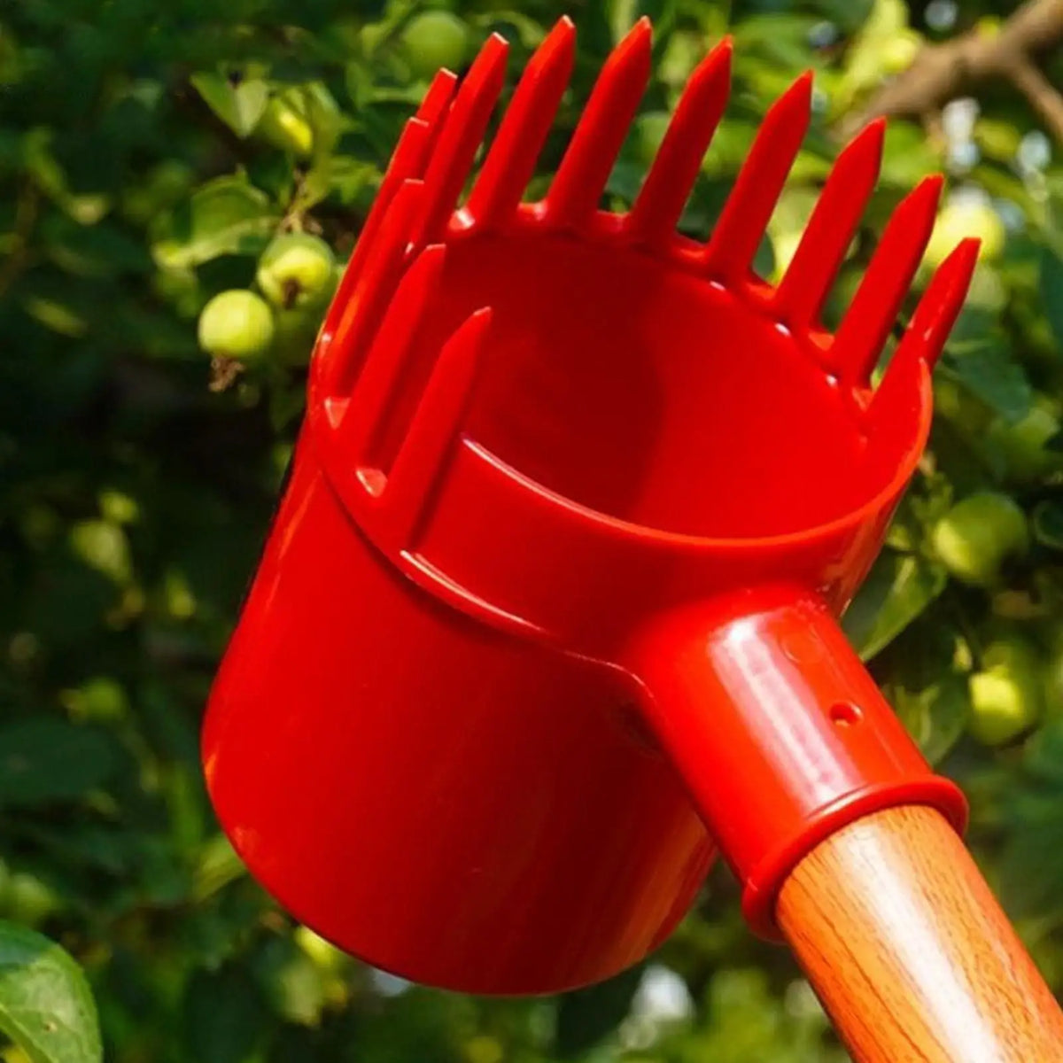 Berry Picker Tool – Fruit Scoop with Comb Teeth & Pole Extension