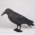 Realistic Black Crow Raven Decoy – Garden Bird Scare Ornament Garden Bird Decoy Nixie Default Title