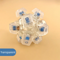 12-Key Magic Ball Fidget Keychain Clicker Toy for Adults Fidget Keychain Toy Nixie Transparent