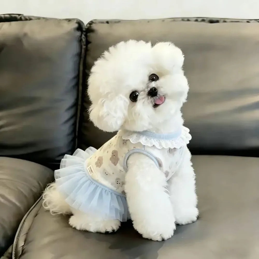 Cute Summer Princess Dress for Small Dogs – Blue Puppy Pattern Dog Dress Nixie