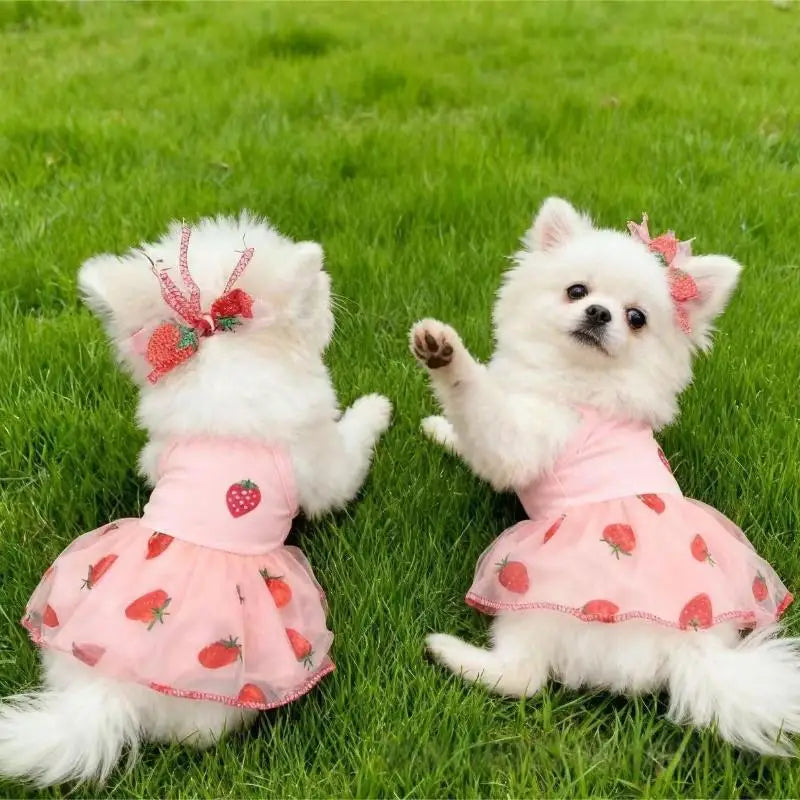 Strawberry Princess Pet Dress for Dogs & Cats – XS to XL Pet Dress Nixie