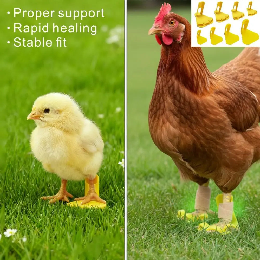 4pcs Adjustable Poultry Leg Splints & Toe Separators for Birds Poultry Leg Splint Nixie