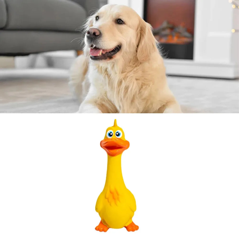 Soft Latex Dog Squeaky Toy – Duck & Chicken Chew Molar
