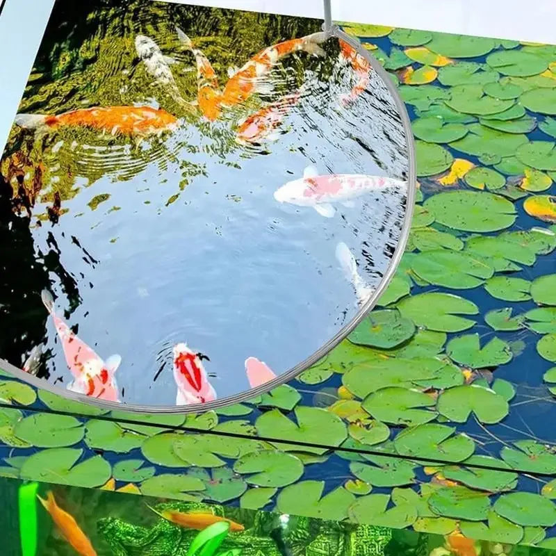 Aquarium Floating Plant Corral & Fish Feeding Ring – PVC Aquarium Plant Corral Nixie