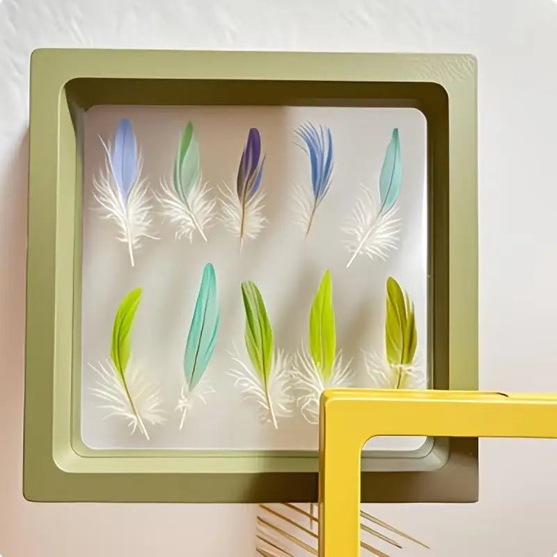 Transparent Pet Bird Feather Memorial Display Box | Photo Frame