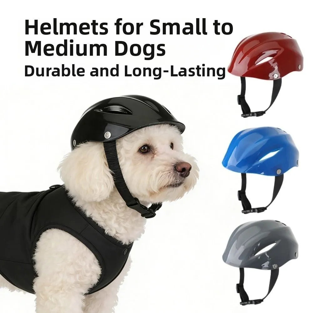 Breathable Pet Helmet for Dogs & Cats – Adjustable Nylon Strap Pet Helmet Nixie