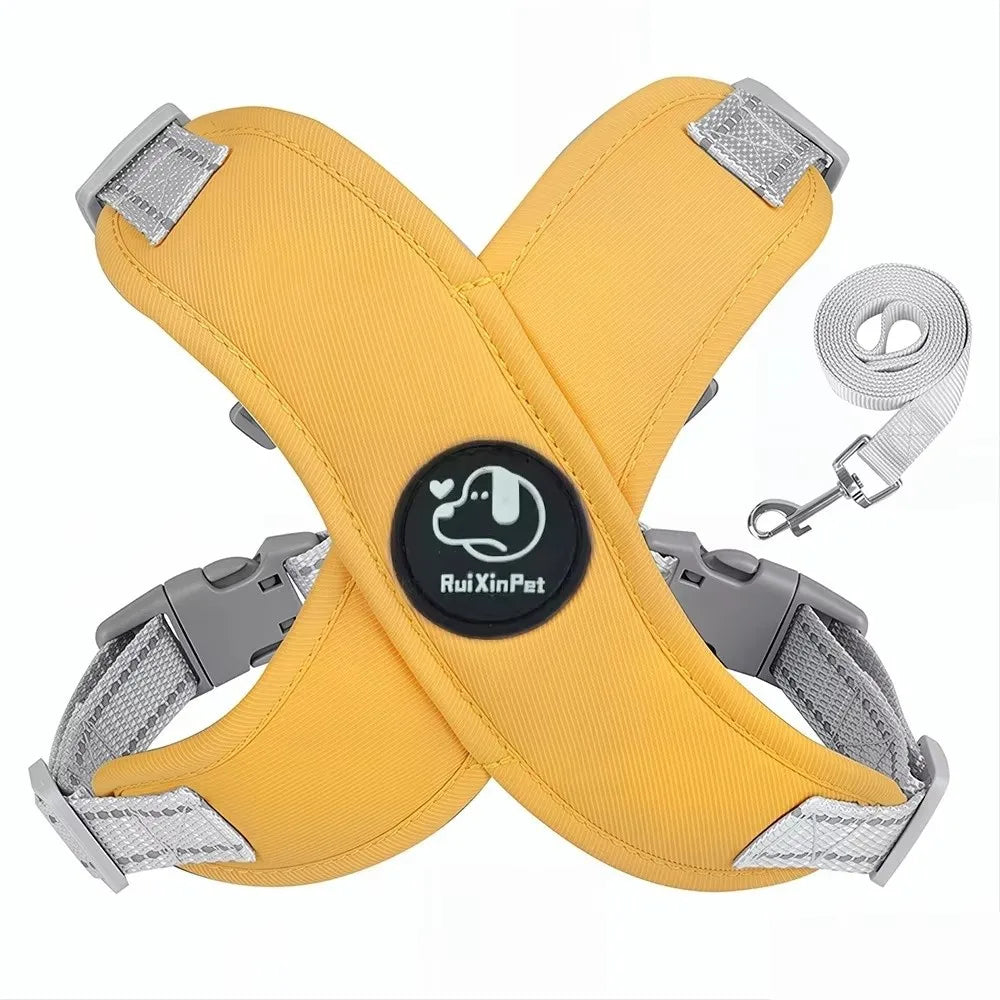 Reflective Dog Harness & Leash Set | Adjustable, Quick Release Dog Harness Set Nixie
