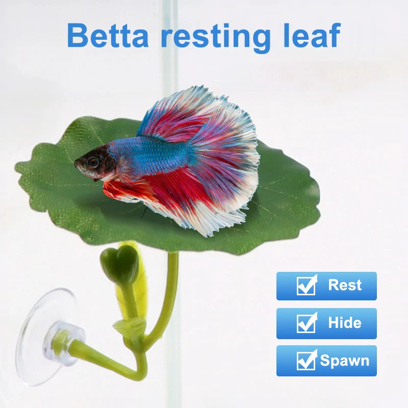 Betta Fish Leaf Hammock – Aquarium Suction Cup Decor