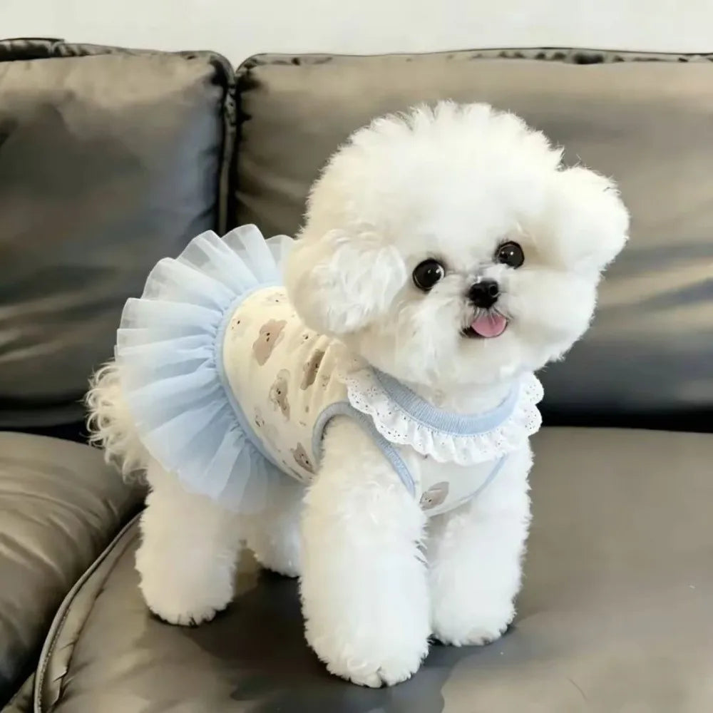 Cute Summer Princess Dress for Small Dogs – Blue Puppy Pattern Dog Dress Nixie