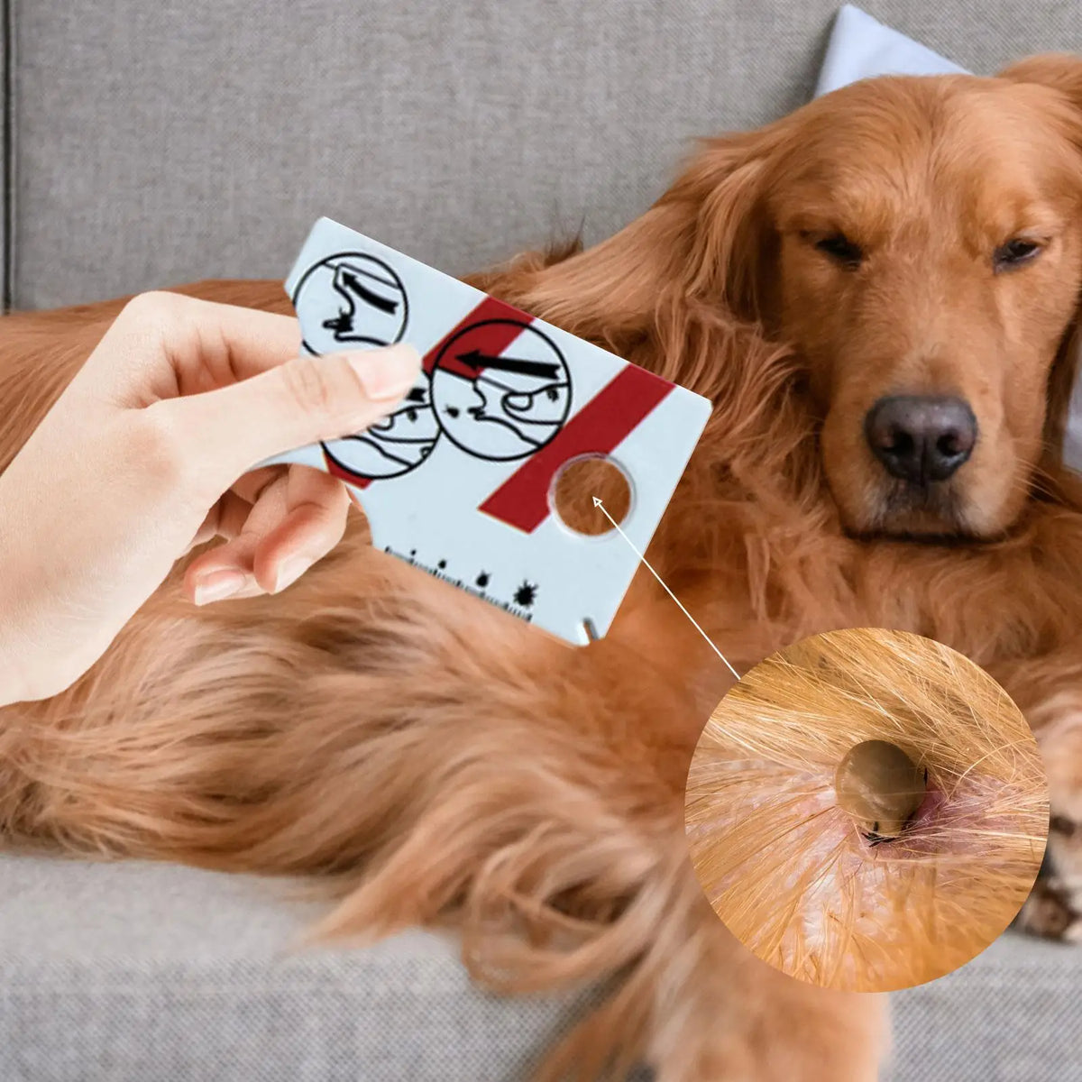 Tick Remover Card with Magnifying Glass for Dogs & Cats Pet Tick Remover Nixie
