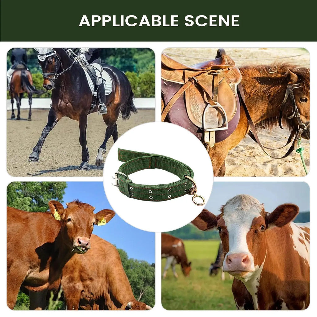 Adjustable Livestock Collar for Cattle, Sheep & Goats