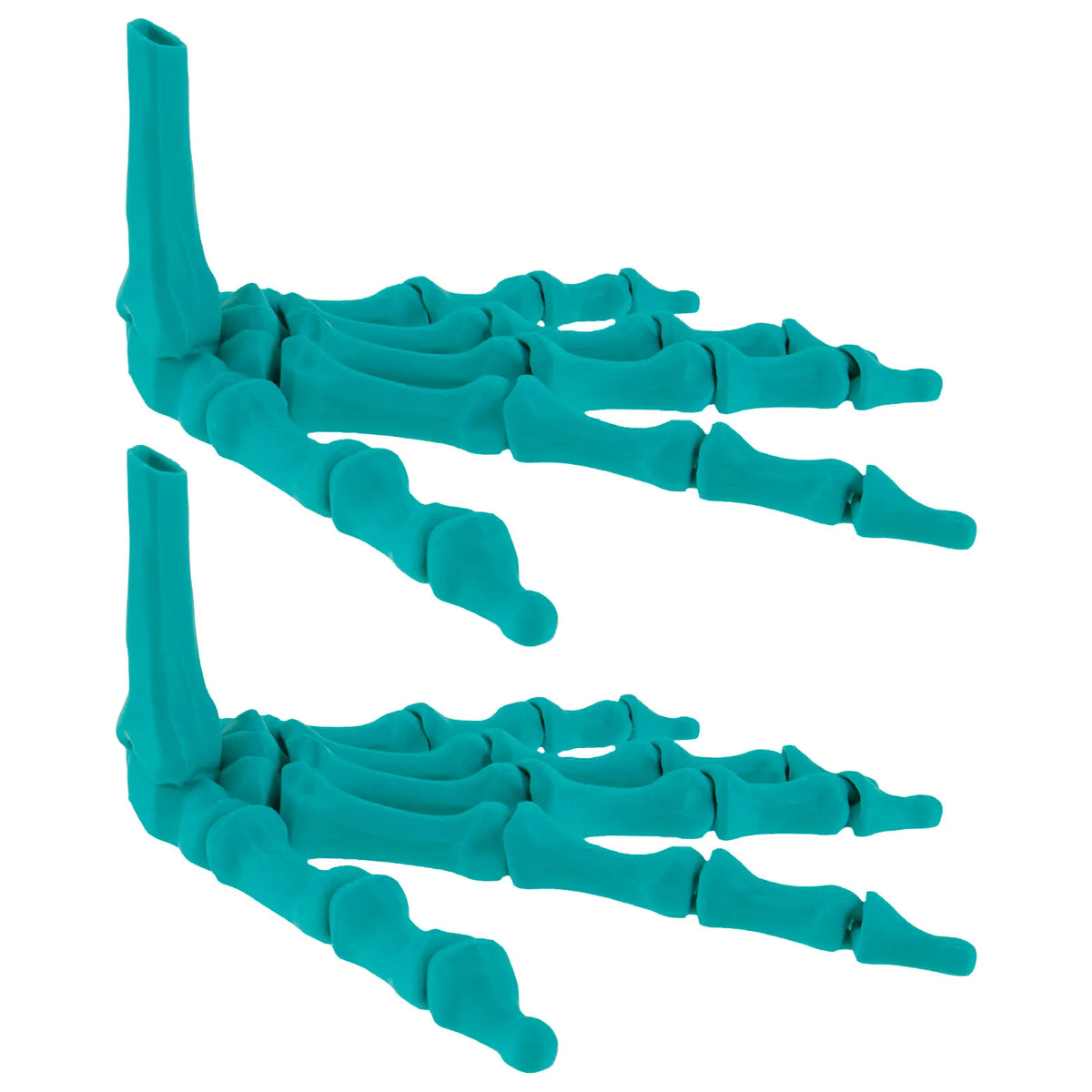 3D Realistic Skeleton Hand Model with Flexible Articulated Joints Halloween Decoration Nixie green