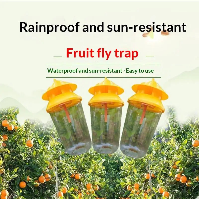 Reusable Fruit Fly Trap with 30-Day Slow-Release Lure | JETTING Fruit Fly Trap Nixie
