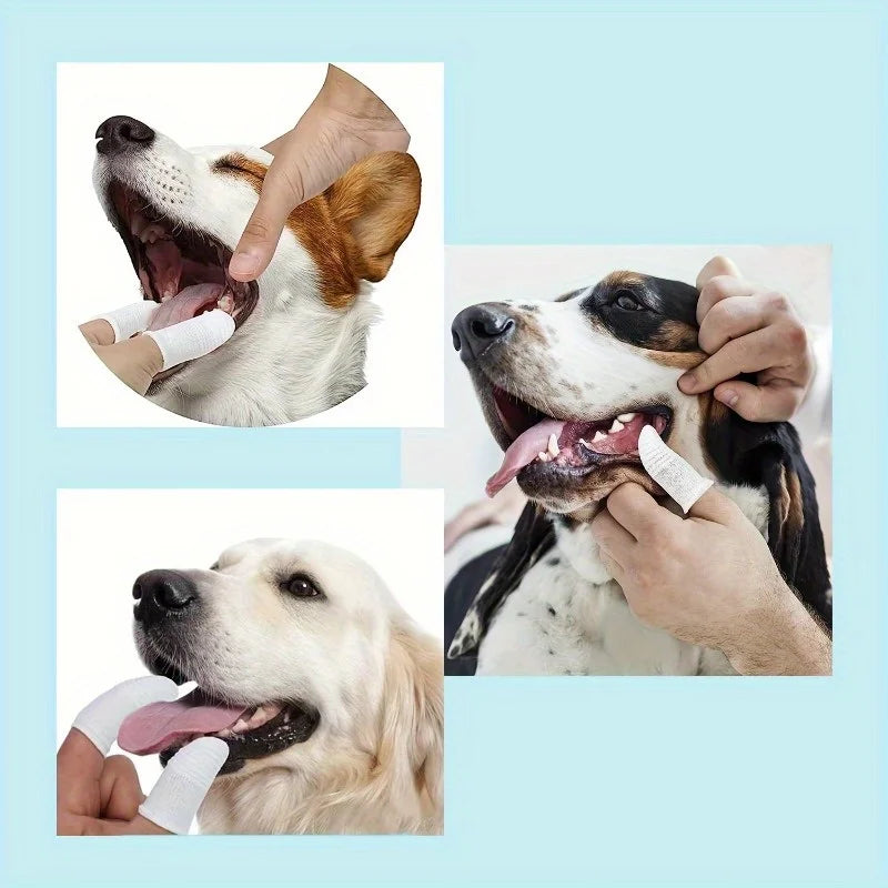 10-Pack Pet Finger Toothbrush Cots for Cats & Dogs | Nixie Pet Finger Toothbrush Nixie