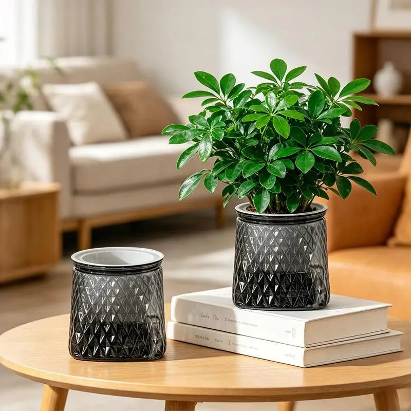 Mini Self-Watering Planter – Transparent PET Pot for Herbs & Succulents