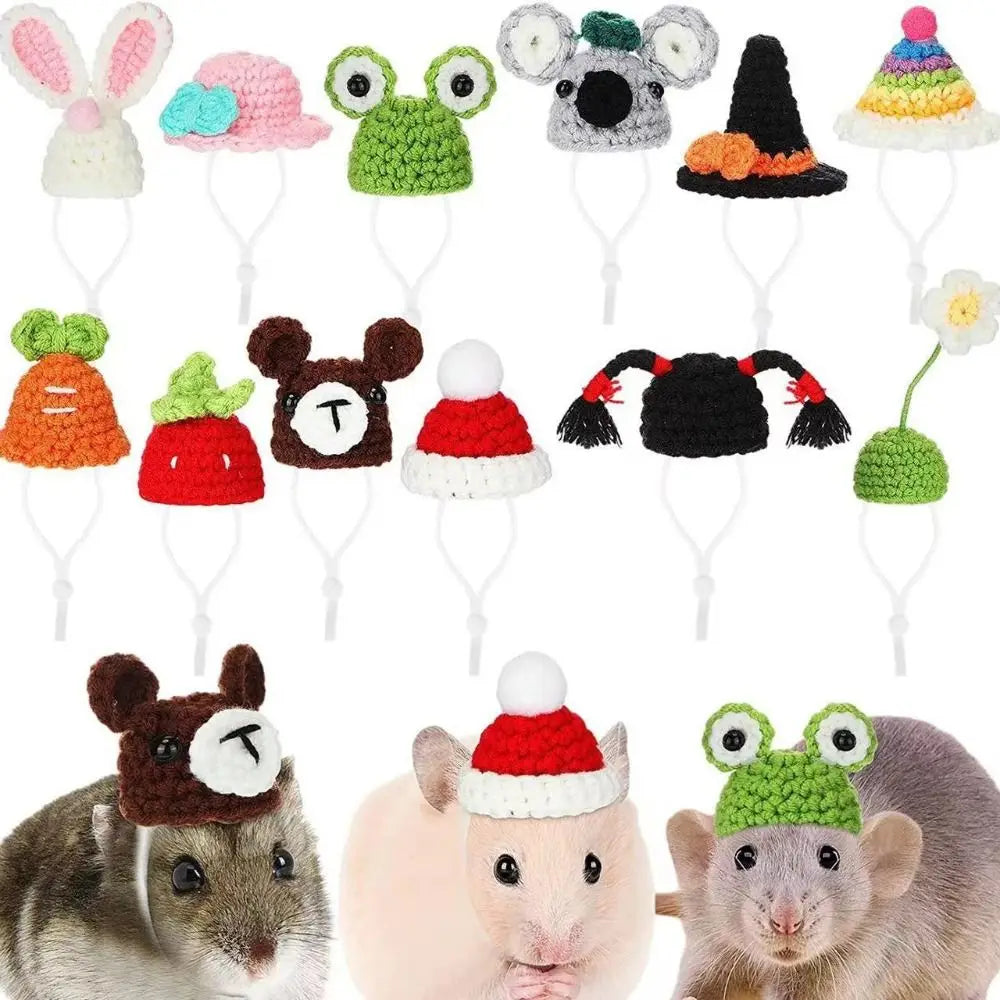 2PCS Handmade Knitted Wool Pet Hats for Hamsters & Parrots Small Pet Hat Nixie