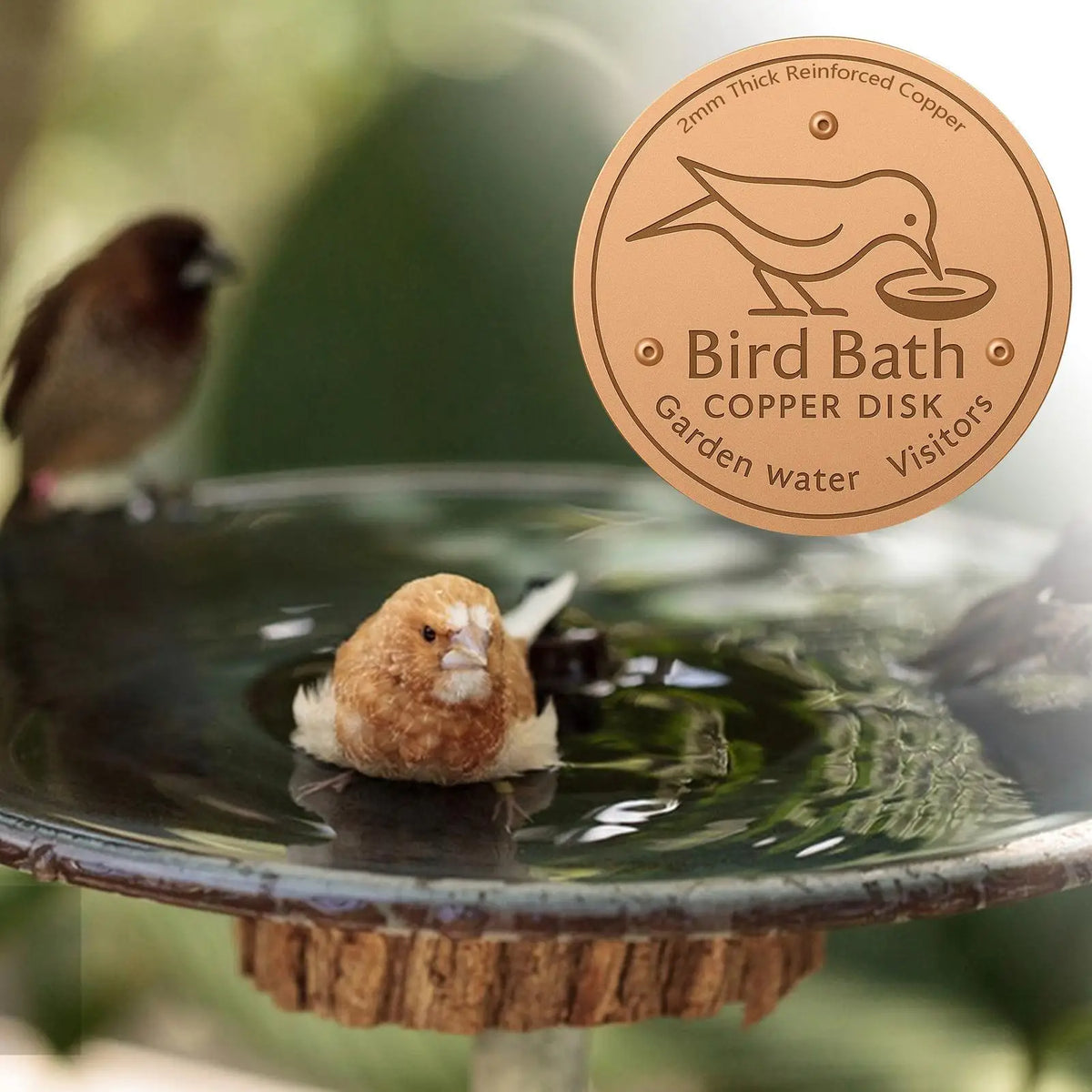 Copper Bird Bath Disk | Algae-Inhibiting Triple-Point Support