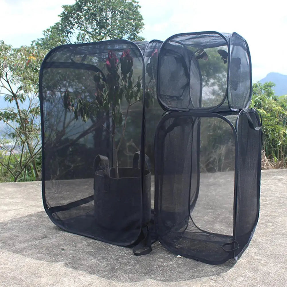 Insect Mesh Habitat Cage – Butterfly & Bug Net Terrarium S/M/L