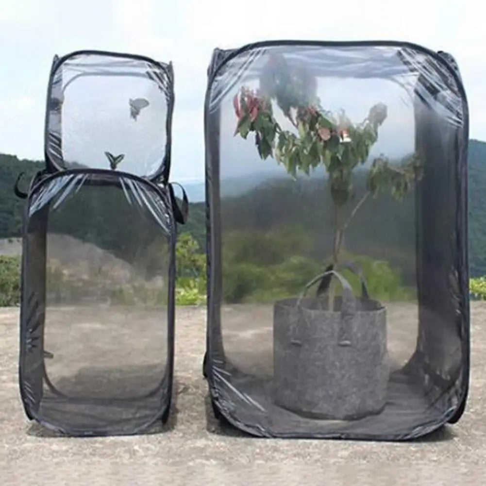 Insect Mesh Habitat Cage – Butterfly & Bug Net Terrarium S/M/L