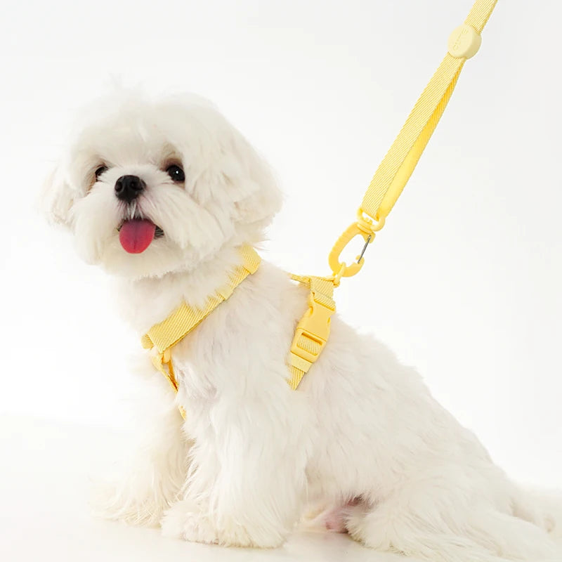 Adjustable Dog Harness Collar Leash Set – Reflective Small Pets Dog Harness Set Nixie