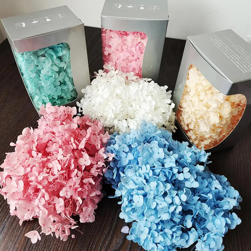 20g Dried Hydrangea Flowers – Resin, Jewelry & DIY Crafts Dried Craft Flowers Nixie