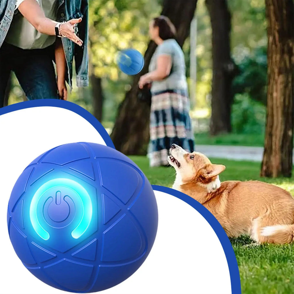 Interactive Auto-Rolling Dog Toy Ball – USB Rechargeable LED Interactive Dog Toy Nixie