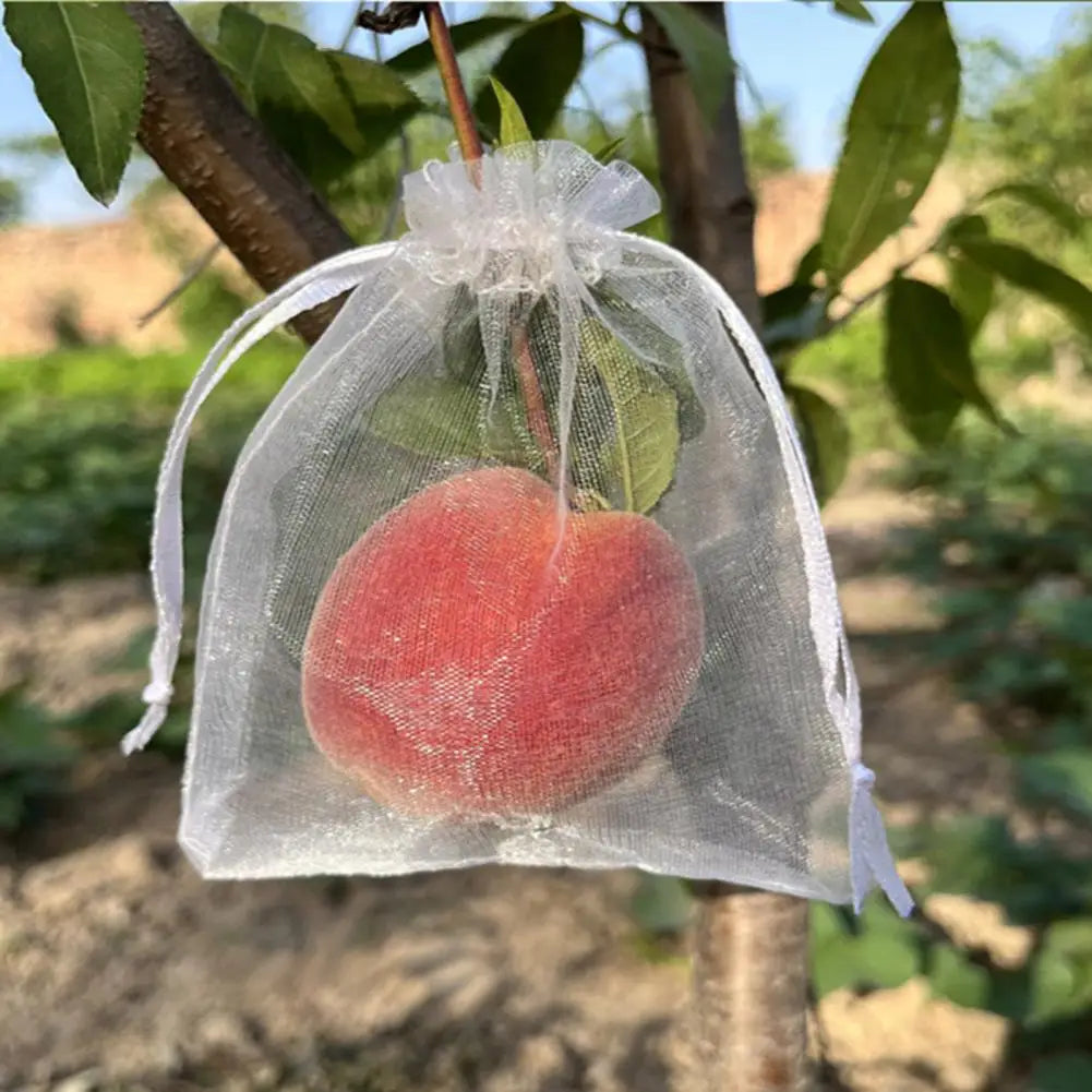 Reusable Mesh Fruit Protection Bags with Drawstring – 10–40 Pack Garden Mesh Bags Nixie