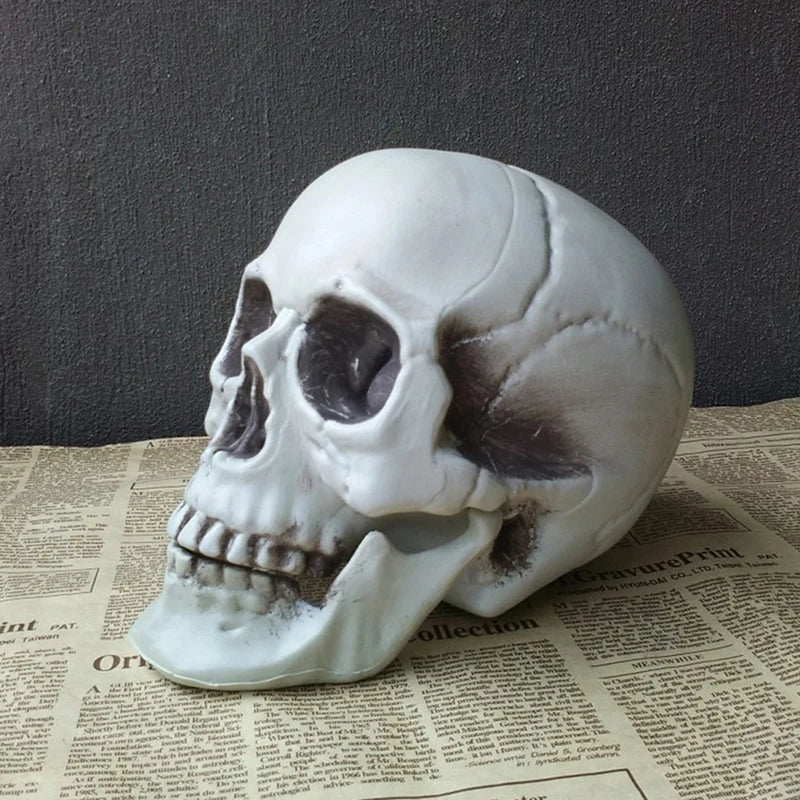 Plastic Skull Head Figurine – Halloween & Party Décor Statue
