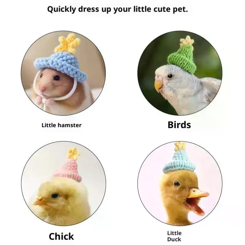 Handmade Knitted Pet Hat for Hamster, Parrot & Guinea Pig Pet Costume Hat Nixie