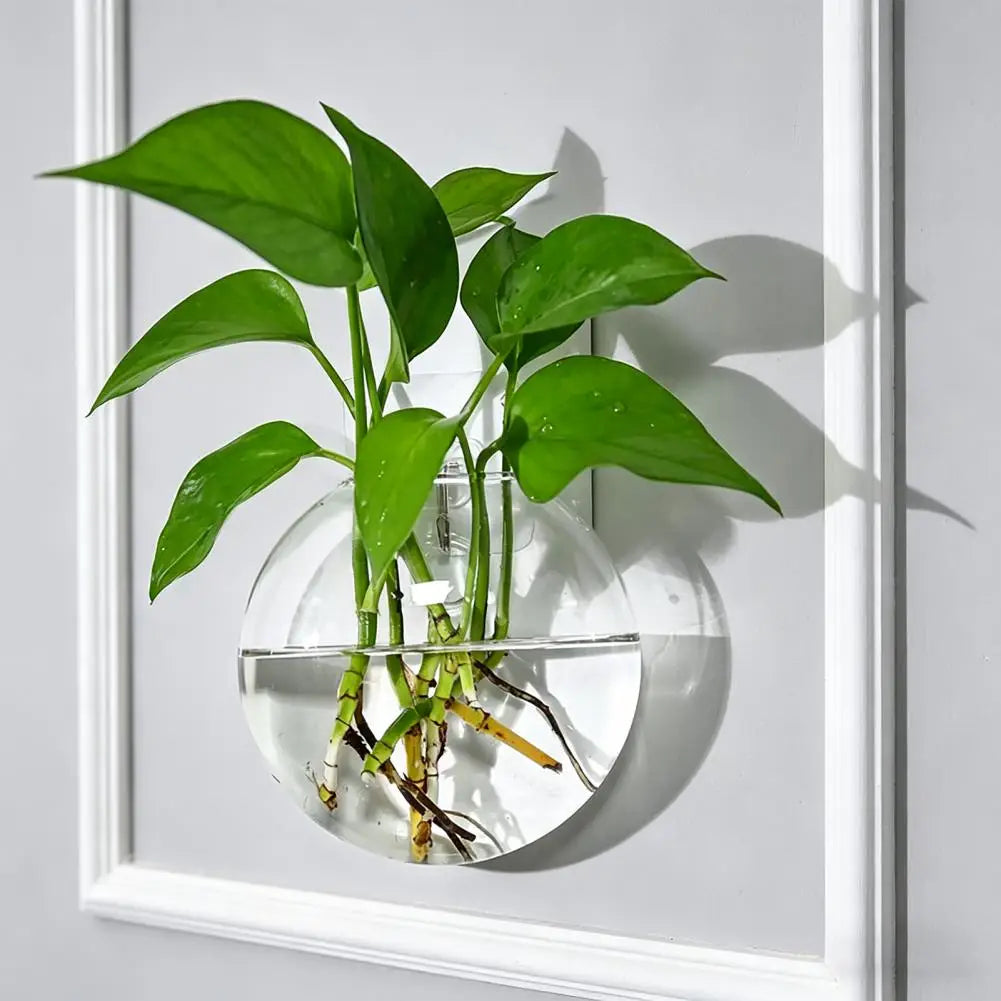 Wall Hanging Glass Planter | Hydroponic Vase Terrarium Wall Glass Planter Nixie