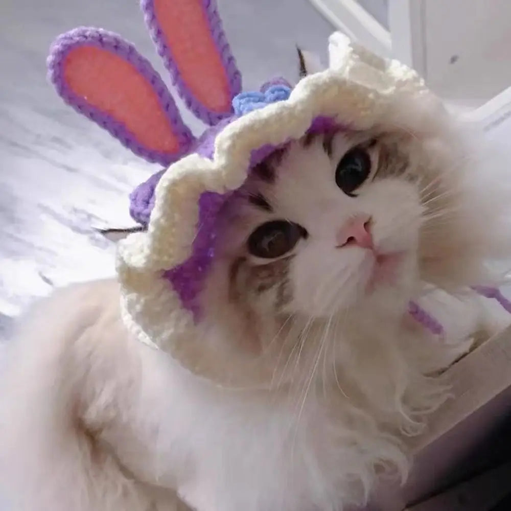 Handmade Funny Cat Hat – Pet Cosplay Party Photo Shoot Headwear Pet Costume Hat Nixie