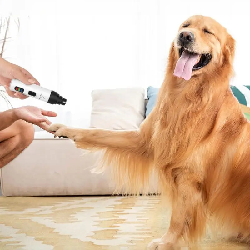 Electric Pet Nail Grinder – Quiet Dog & Cat Nail Trimmer Pet Nail Grinder Nixie