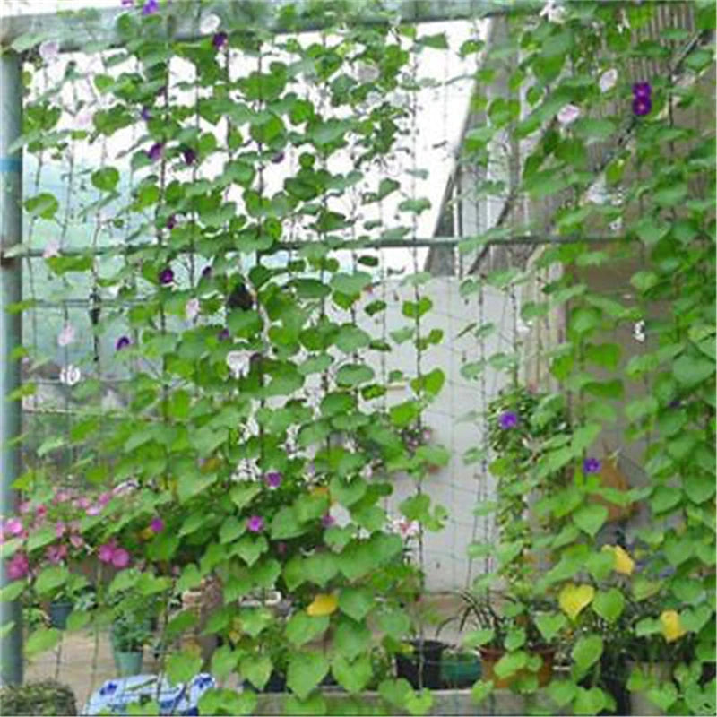 1.8x1.8m Nylon Lattice Climbing Plant Support Net – Garden Mesh Climbing Plant Net Nixie