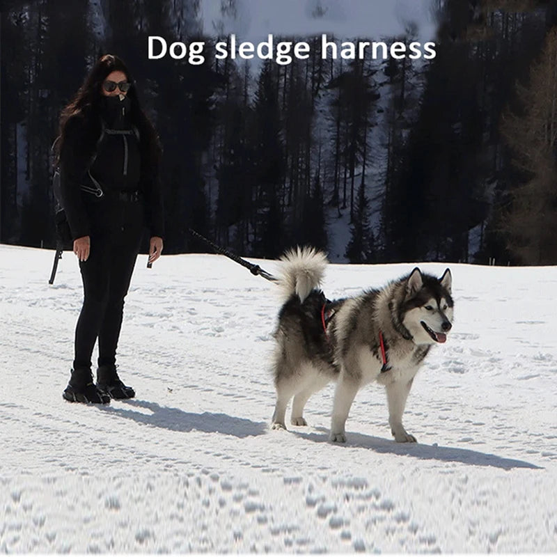 Dog Sled Harness & Weight Training Leash | Husky Scooter Dog Sled Harness Nixie