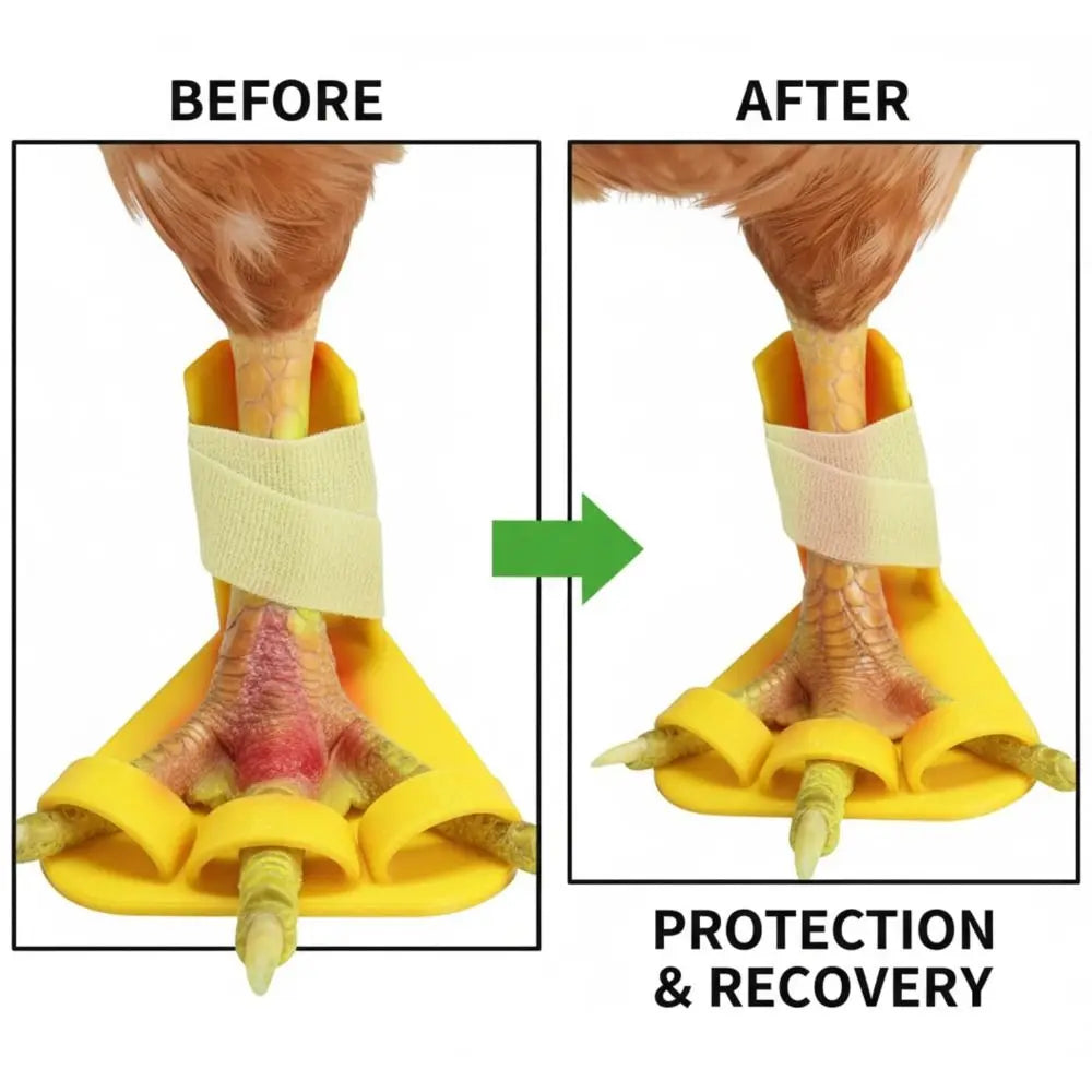 4pcs Adjustable Poultry Leg Splints & Toe Separators for Birds Poultry Leg Splint Nixie