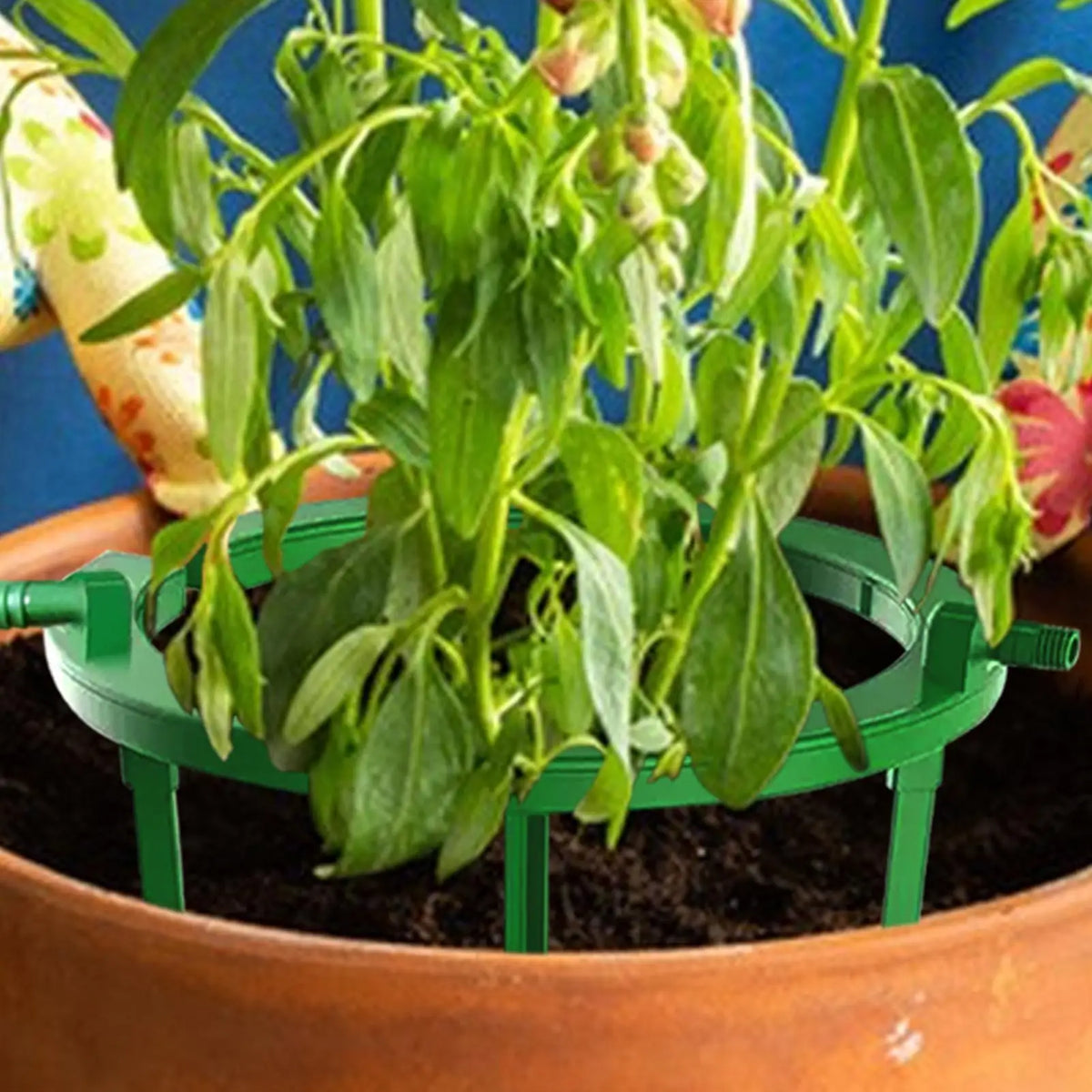 Plant Hydro Ring Drip Irrigation Kit – Root-Zone Watering
