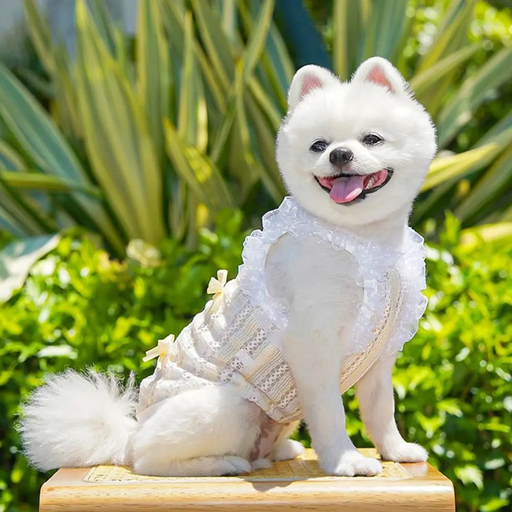 Cute Lace Bow Pet Dress Vest – Cat & Dog Princess Shirt Pet Dress Vest Nixie